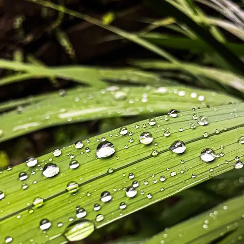 Photo #8840075