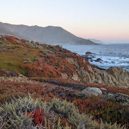 Photo #8840091