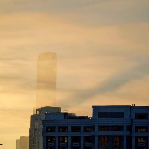 Photo #8840125