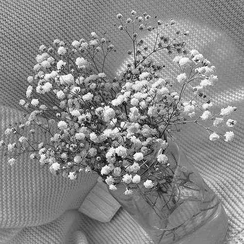 Photo #8840323
