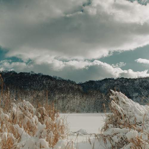Photo #8840364