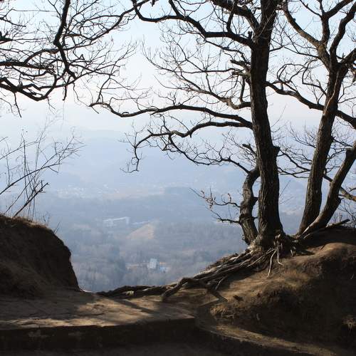 Photo #8840412