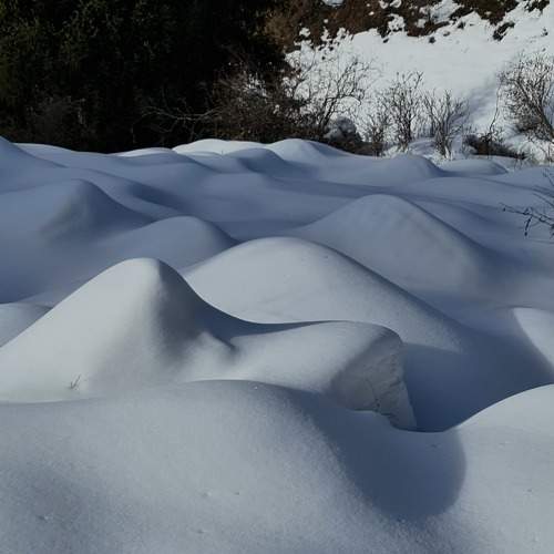 Photo #8840584