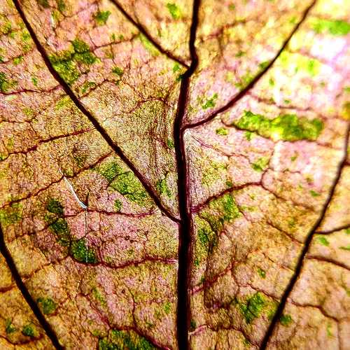 Photo #8840718
