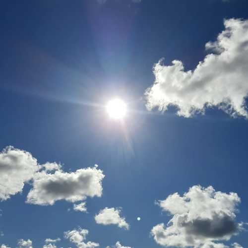 Photo #8840817