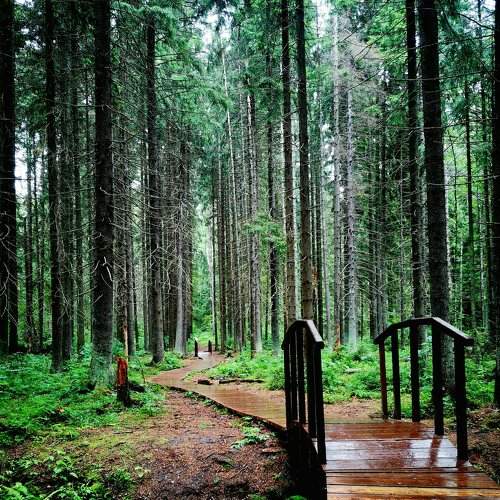 Photo #8840947