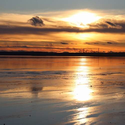 Photo #8841152