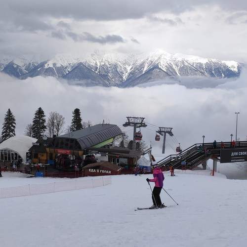 Photo #8841373