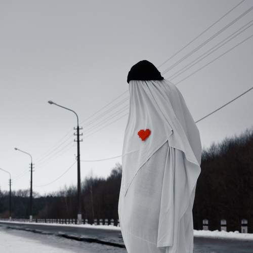 Photo #8841620
