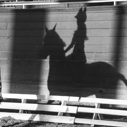 Photo #8841865