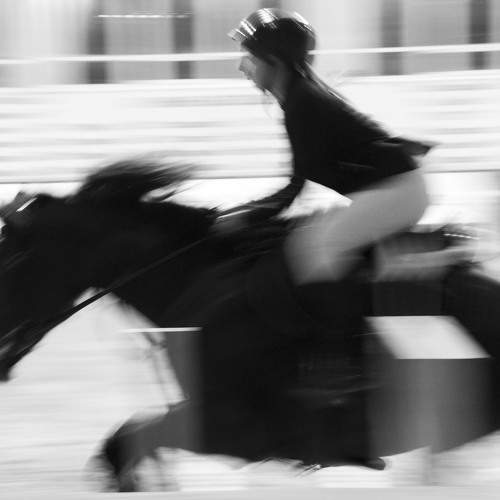 Photo #8841866