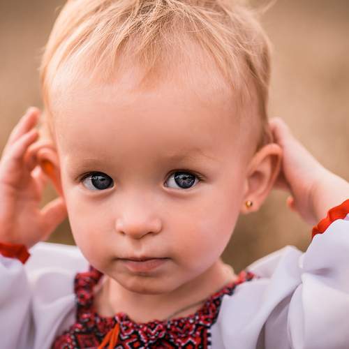 Photo #8842022