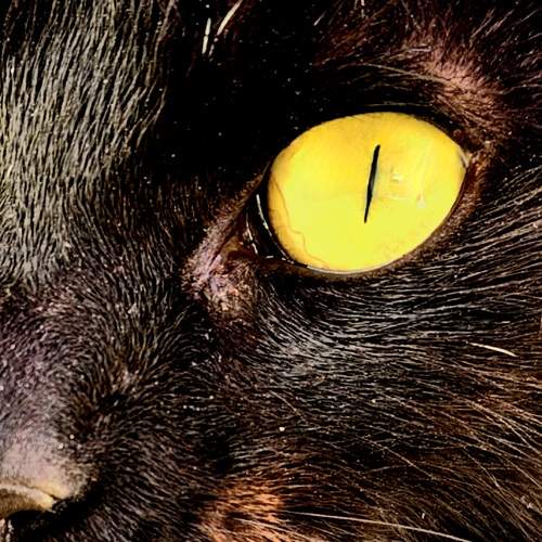 Photo #8842059