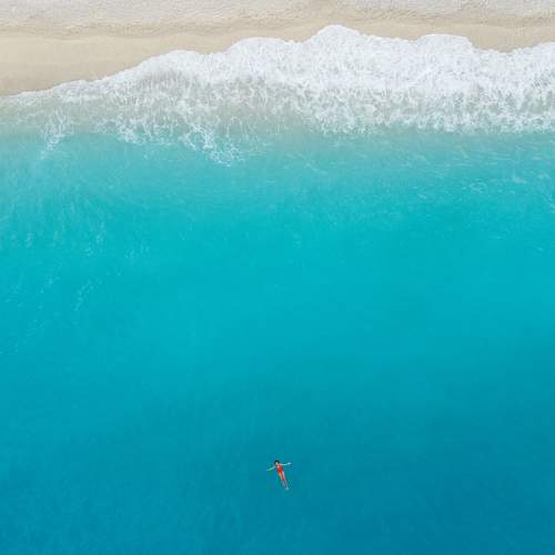 Photo #8842241