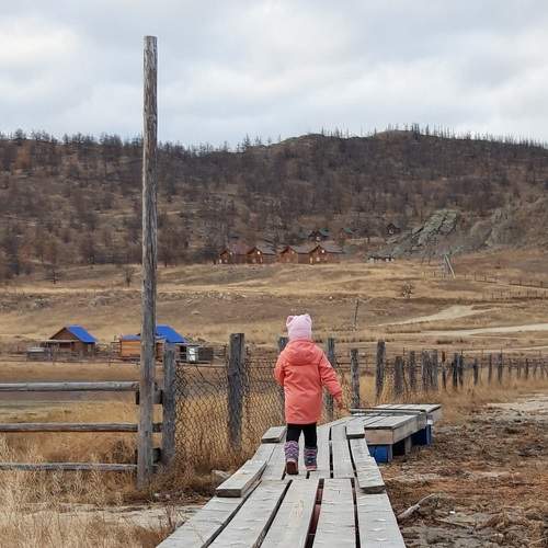 Photo #8842575