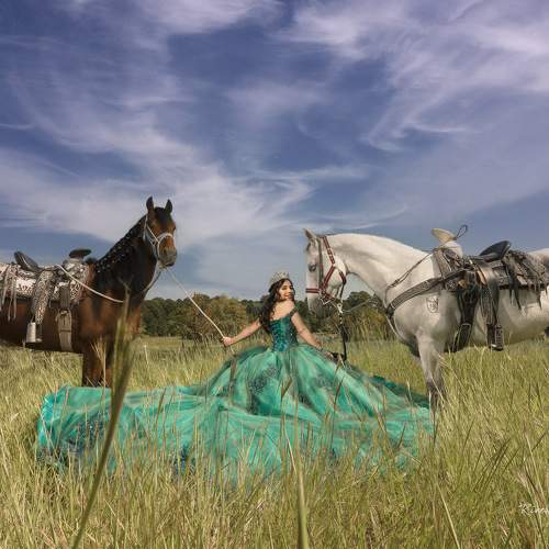 Photo #8842598
