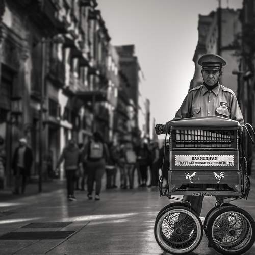 Photo #8842713