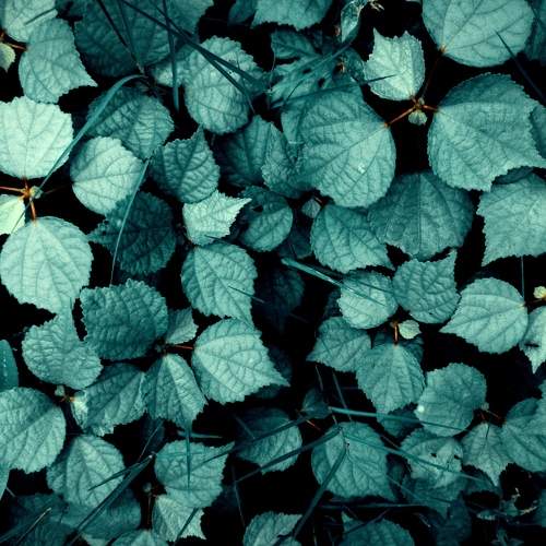 Photo #8842819