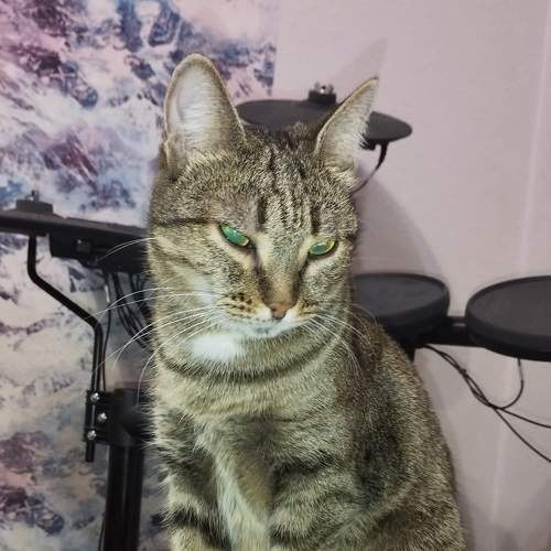 Photo #8843077