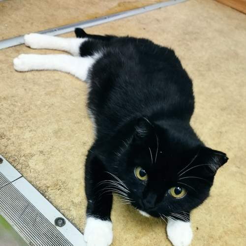Photo #8843166