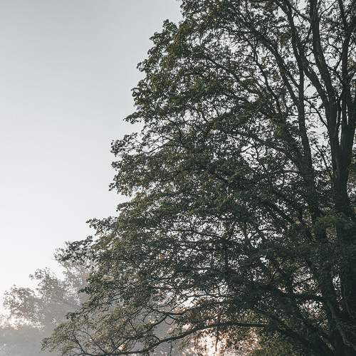 Photo #8843197