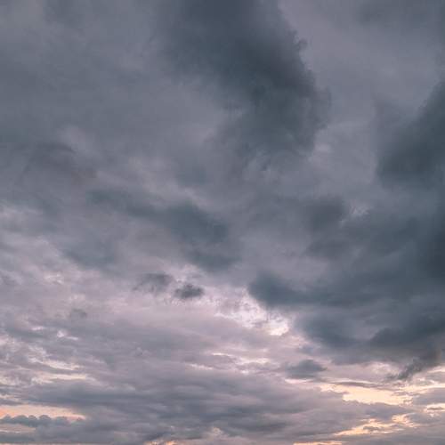 Photo #8843208