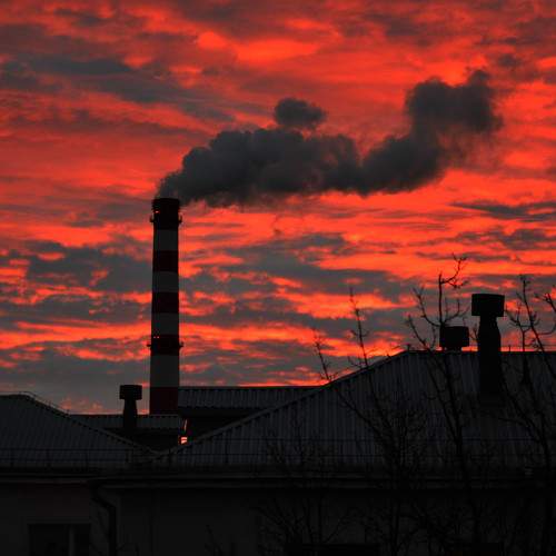 Photo #8843321