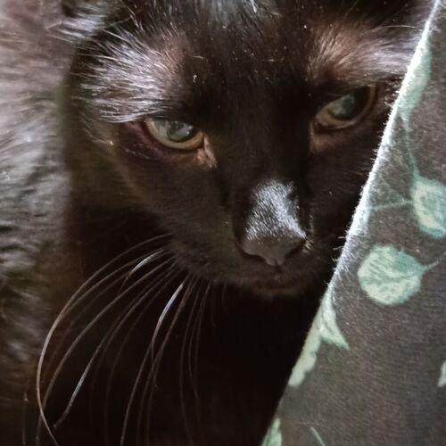 Photo #8843465
