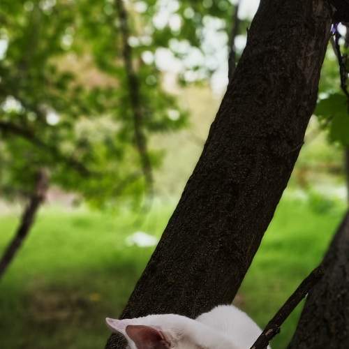Photo #8843989