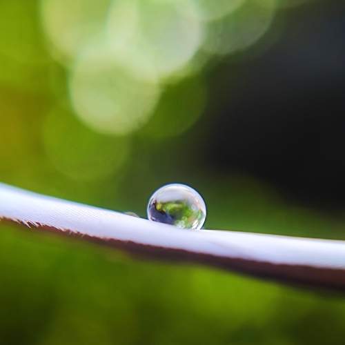 Photo #8844006