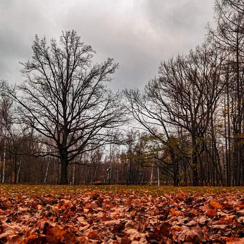 Photo #8844504