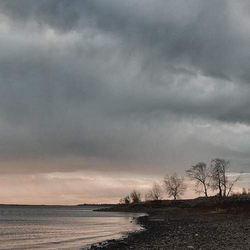Photo #8844530