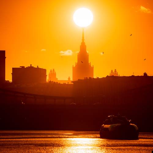 Photo #8844649