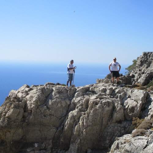 Photo #8844931