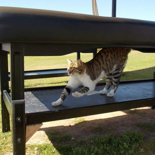 Photo #8845414