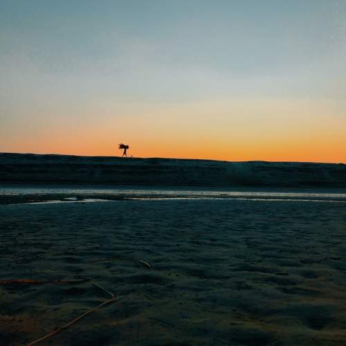 Photo #8845454