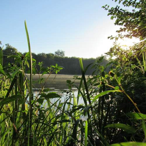 Photo #8845515
