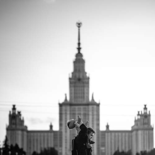 Photo #8845670