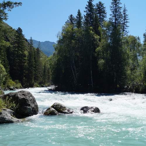 Photo #8845815