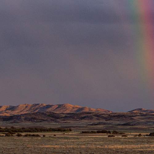 Photo #8845885
