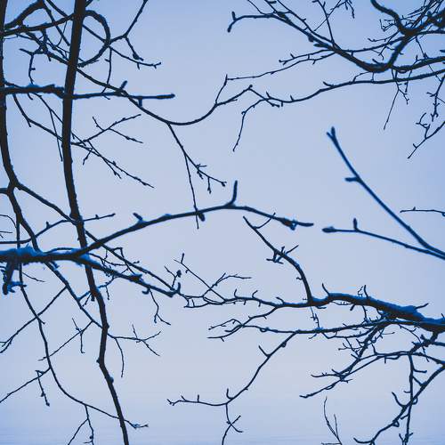 Photo #8845970
