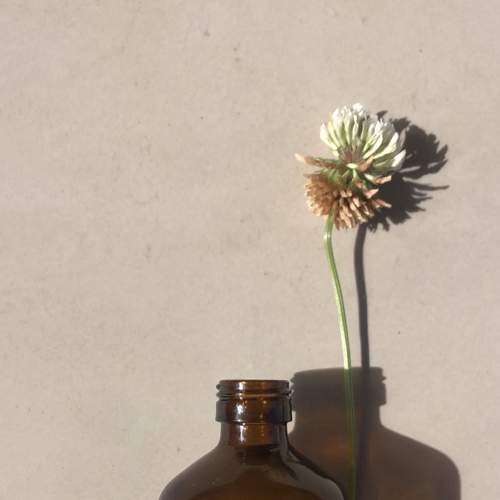 Photo #8846286