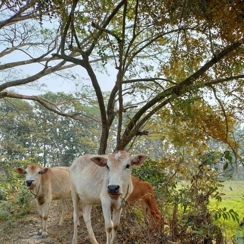 Photo #8846508
