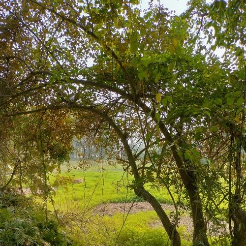 Photo #8846587