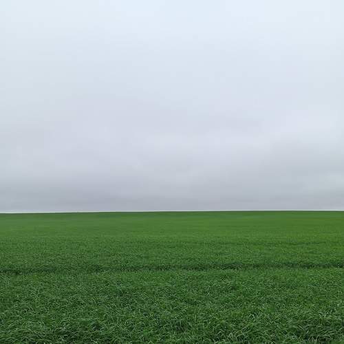 Photo #8847279