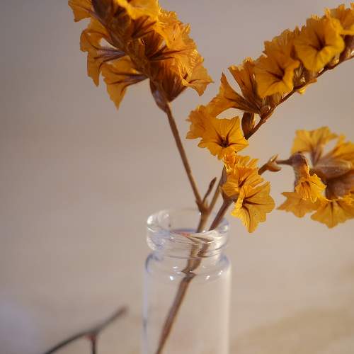 Photo #8847301