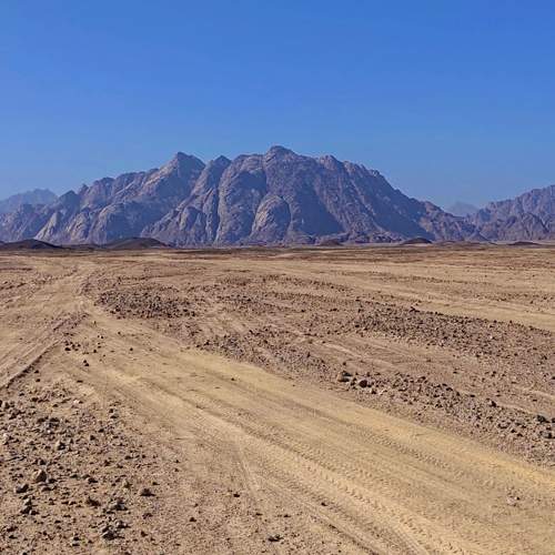 Photo #8847588