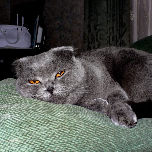 Photo #8847686