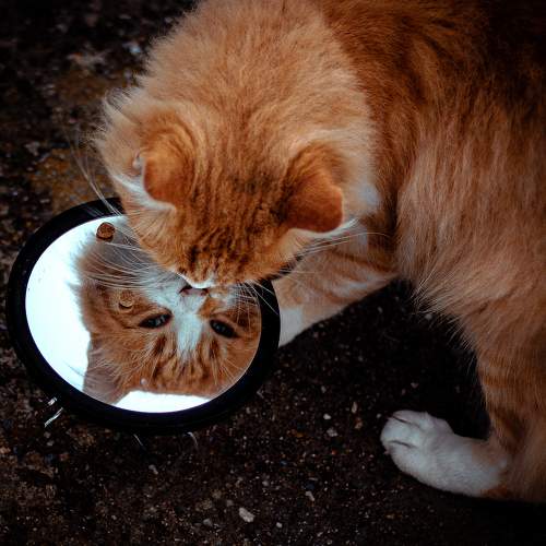 Photo #8847846