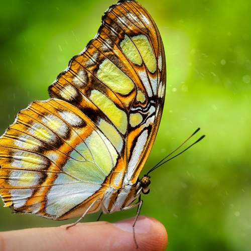 Photo #8848073
